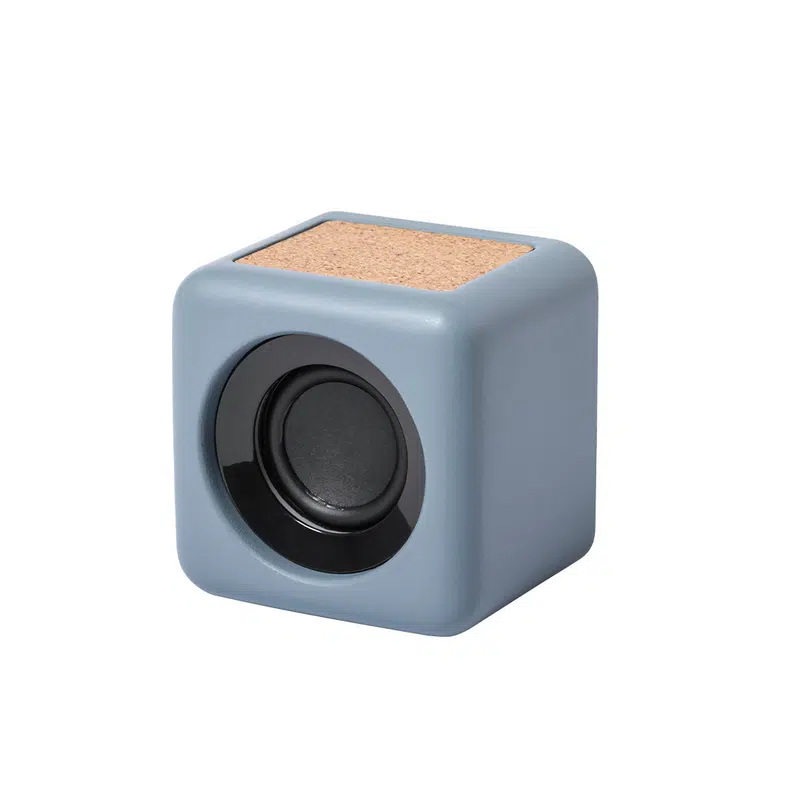 Speaker Seynol