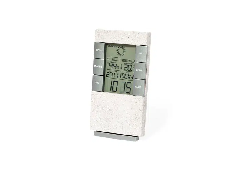 Weather Station Maginly