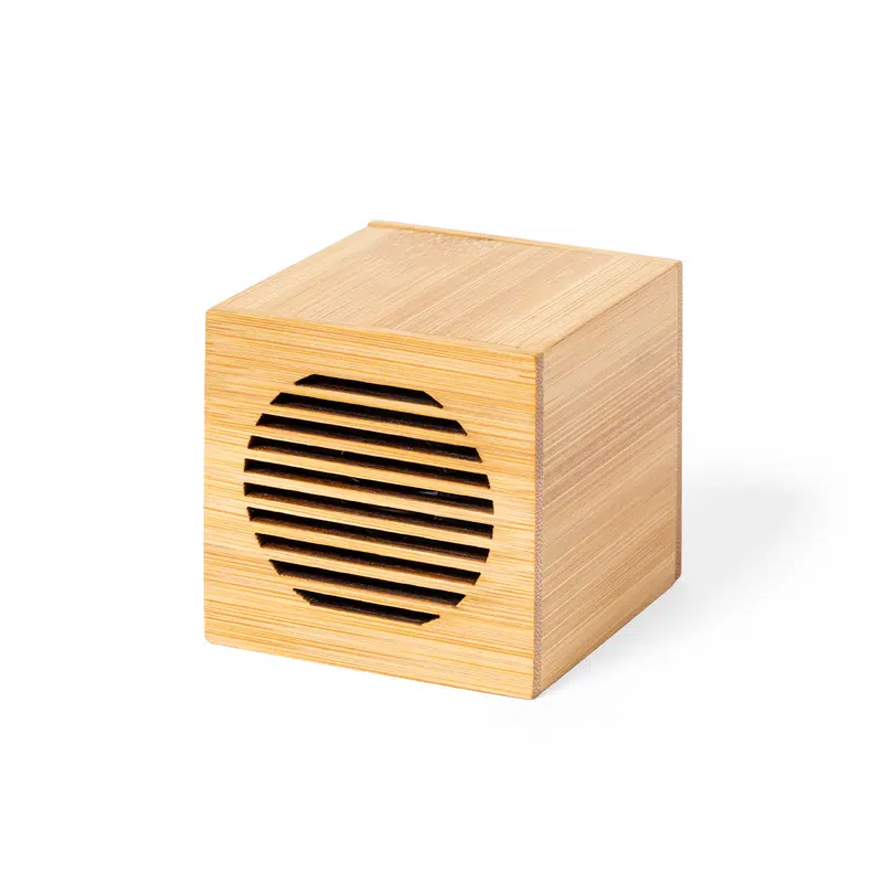 Speaker Teoden