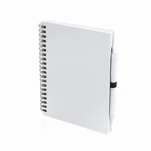 Notebook Koguel