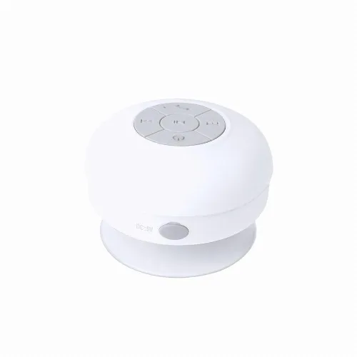 Speaker Rariax