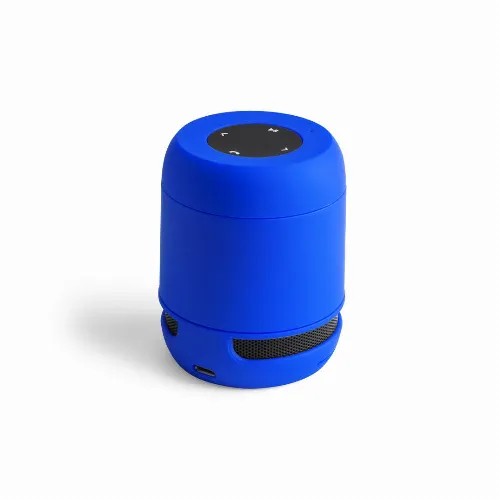 Speaker Braiss