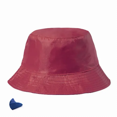 Reversible Hat Nesy