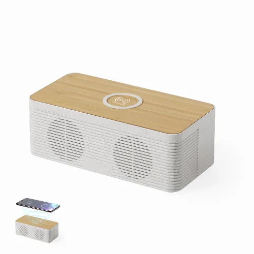 Charger Speaker Trecam