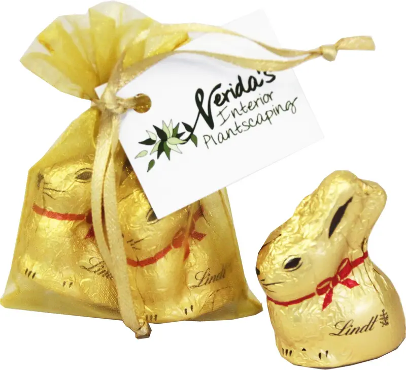 Organza Bag with 10g Gold Lindt Bunny x2 – Chocolates