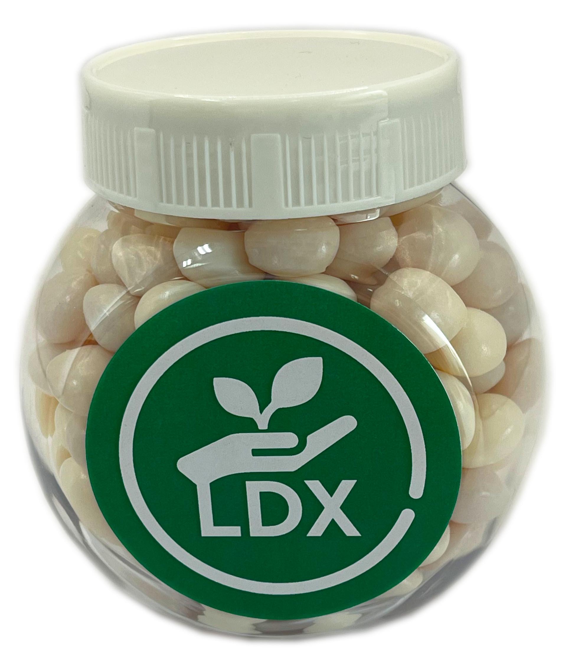 Plastic Jar with Chewy Mints 170g – Mints – Confectionery Corner – photo 1 of 3