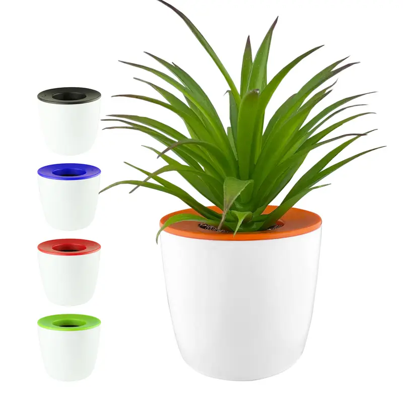 Mini Desk Plant Pot – Misc Homeware – available in black, blue, green, orange colours and 1 more
