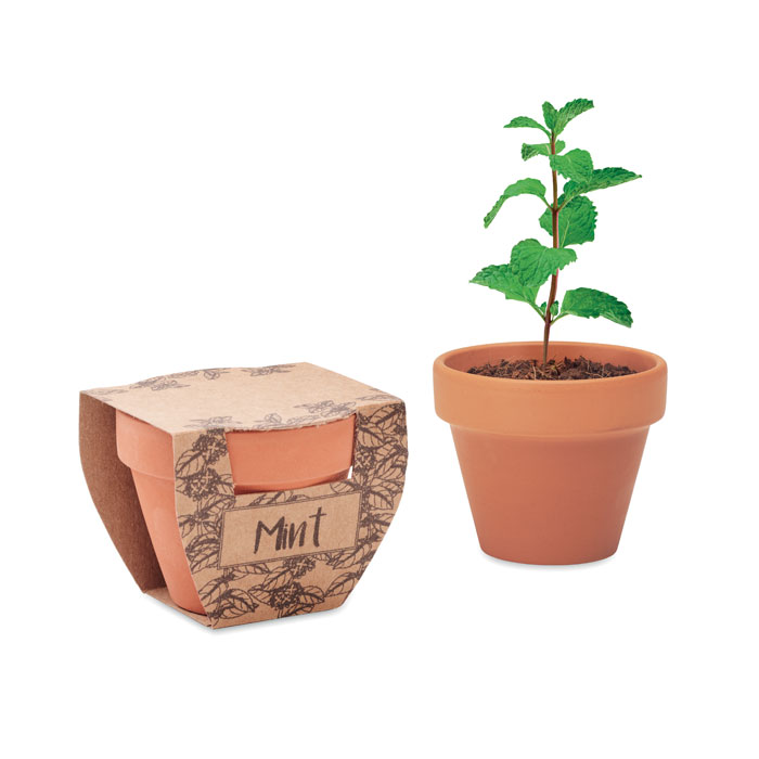 Mint Pot – Seedsticks – available in brown colour