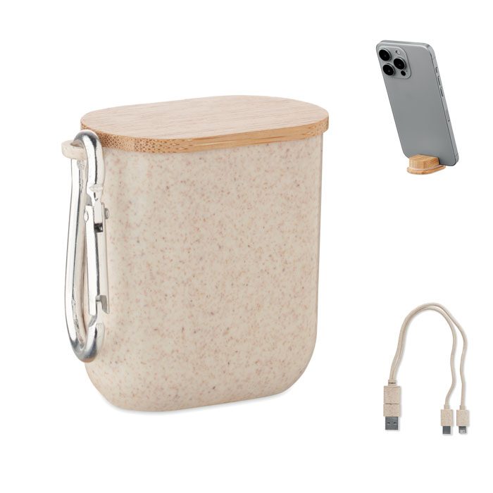 Cabstra – Charging Cables
