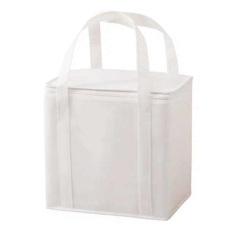 Havanah Non Woven Cooler Bag – Cooler Bags