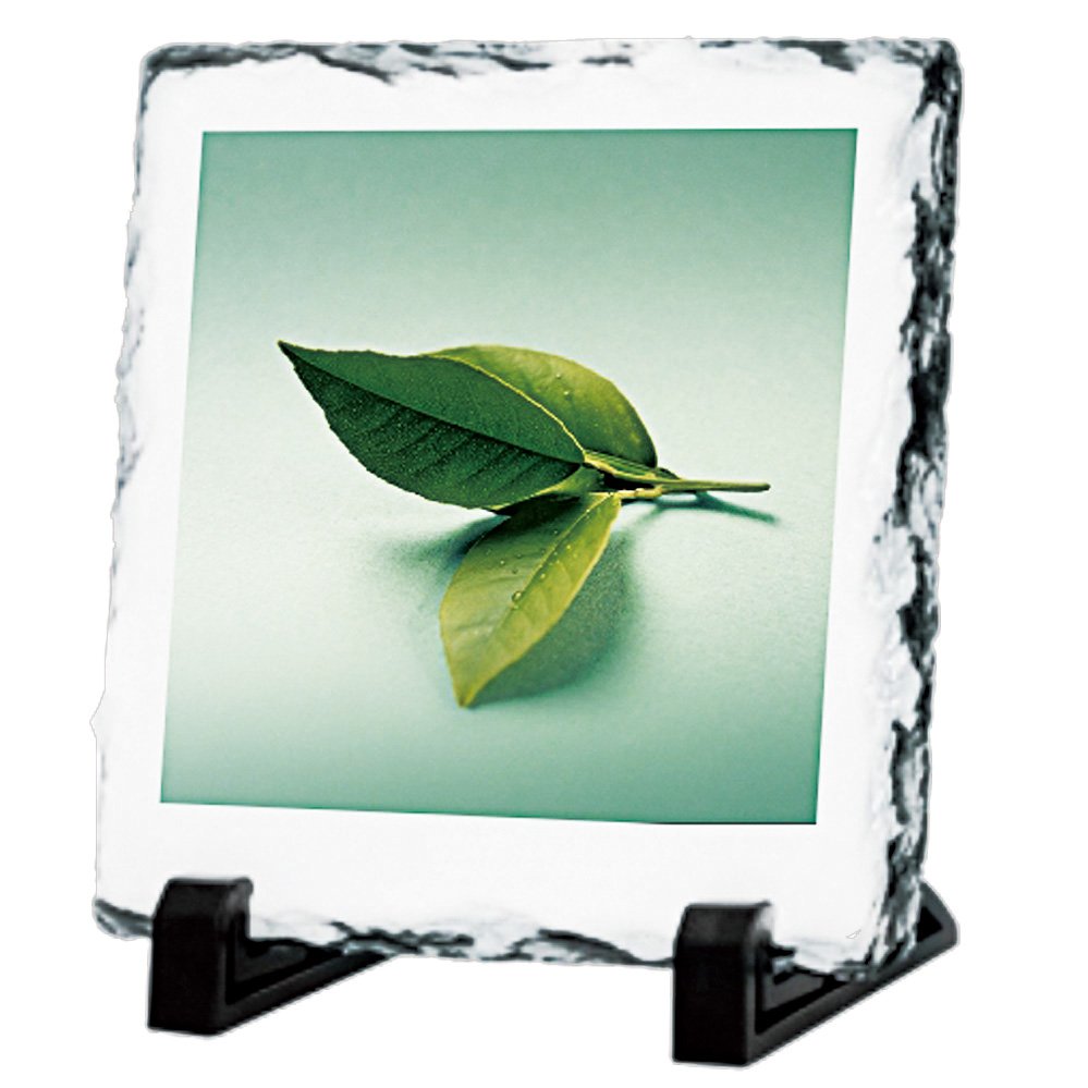 Wallace Photoframe