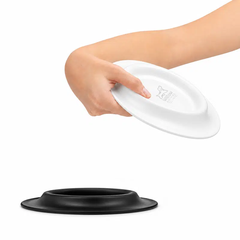 Sip n Fly Pet Bowl – Pet Accessories – available in black, white colours