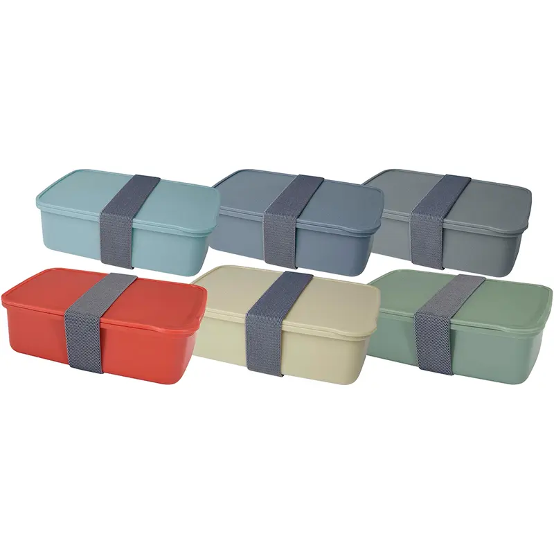 Seasons Dovi 800 ml Lunch Box – Clocks & Timers