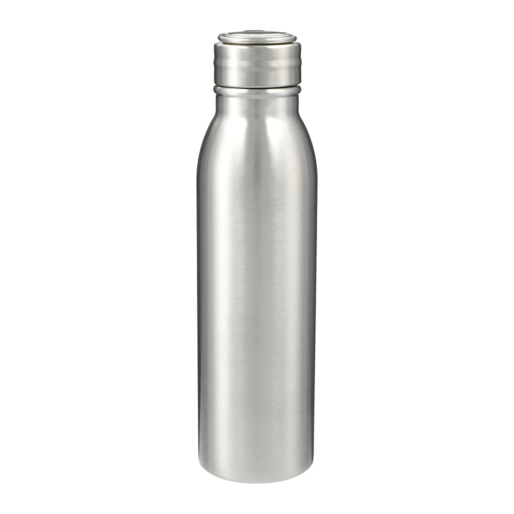 Vida 710ml Stainless Steel Bottle – Drink Bottles – The Range – available in Silver – thumbnail 1 of 12