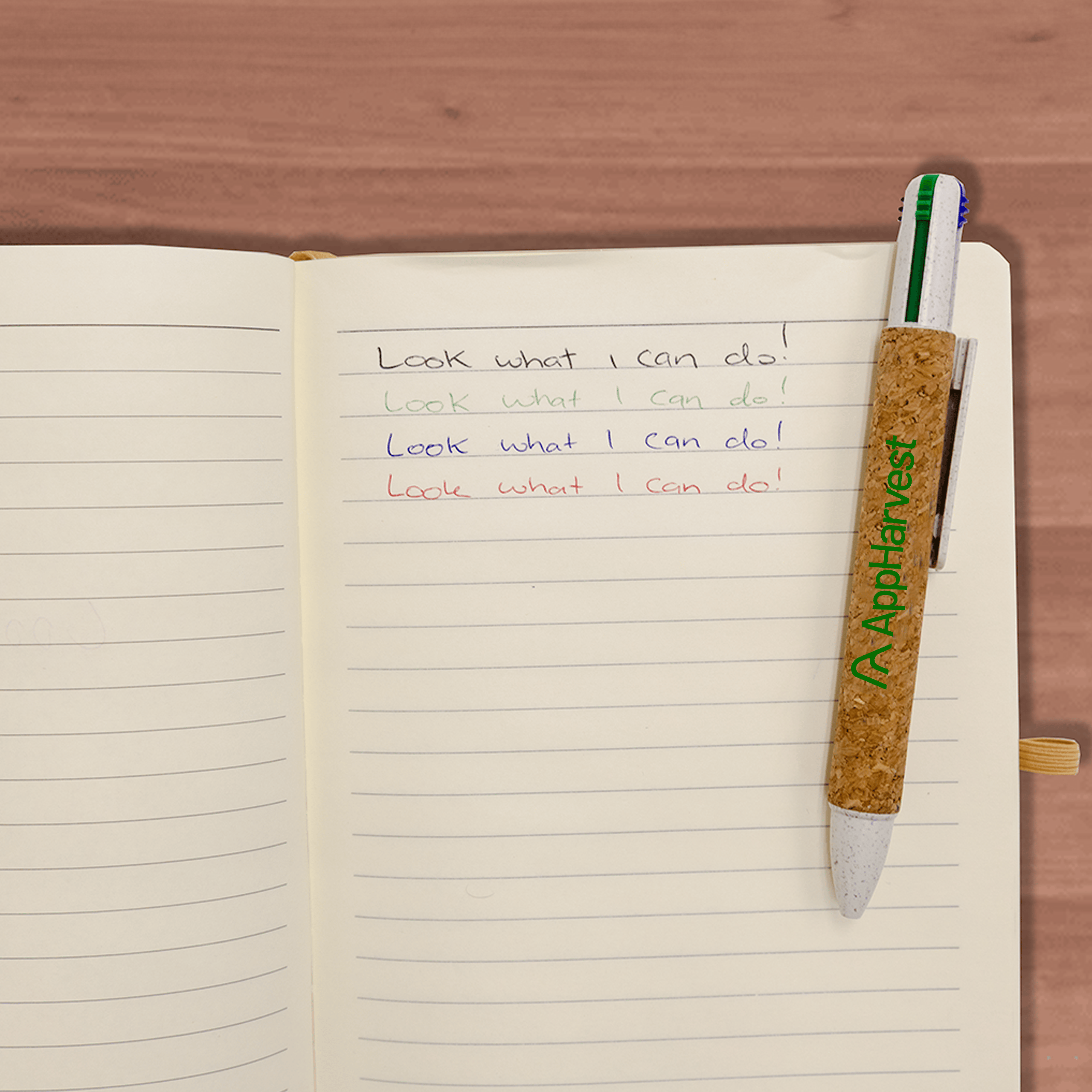 Kikla 4 Way Cork Pen