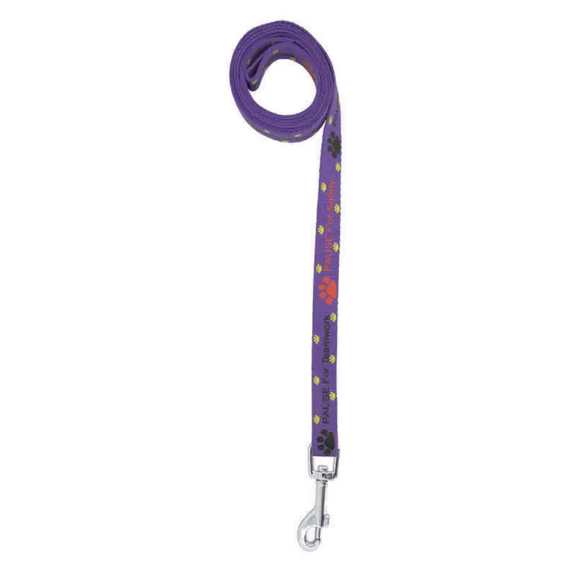 1.4M Dog Leash 10mm – Pet Accessories – available in blue, brown, green, grey colours and 5 more