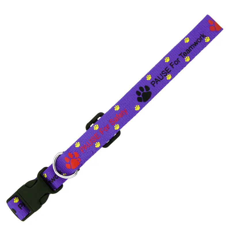 Dog Collar 10mm – Pet Accessories – available in blue, brown, green, grey colours and 5 more
