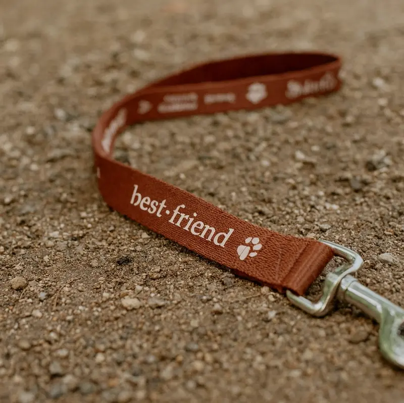 1.4M Dog Leash 19mm – Pet Accessories – available in blue, brown, green, grey colours and 5 more