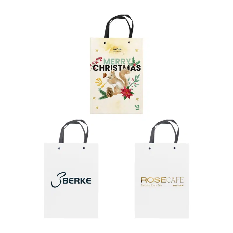 Knitted Handle Bag with Lamination(250x350x100mm) – Paper Bags – available in multi colour
