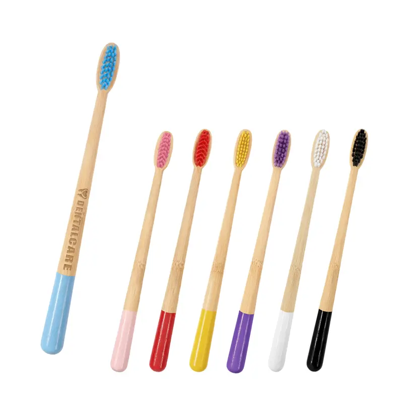 Large Conical Handle Colorful Toothbrush – Misc Health