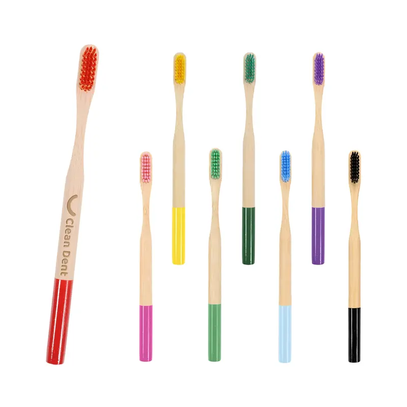 Large Round Handle Colorful Bamboo Toothbrush – Misc Health