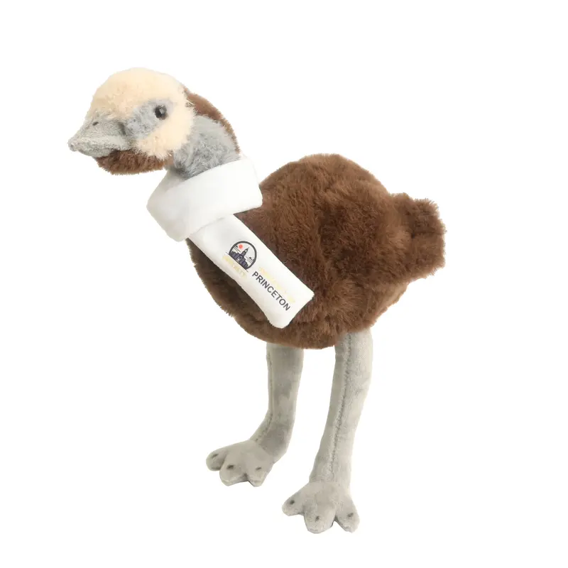 Custom Emu Plush Toy – Soft Toys – available in brown colour