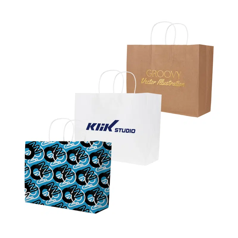 Twisted Handle Kraft Paper Bag(320x250x120mm) – Paper Bags