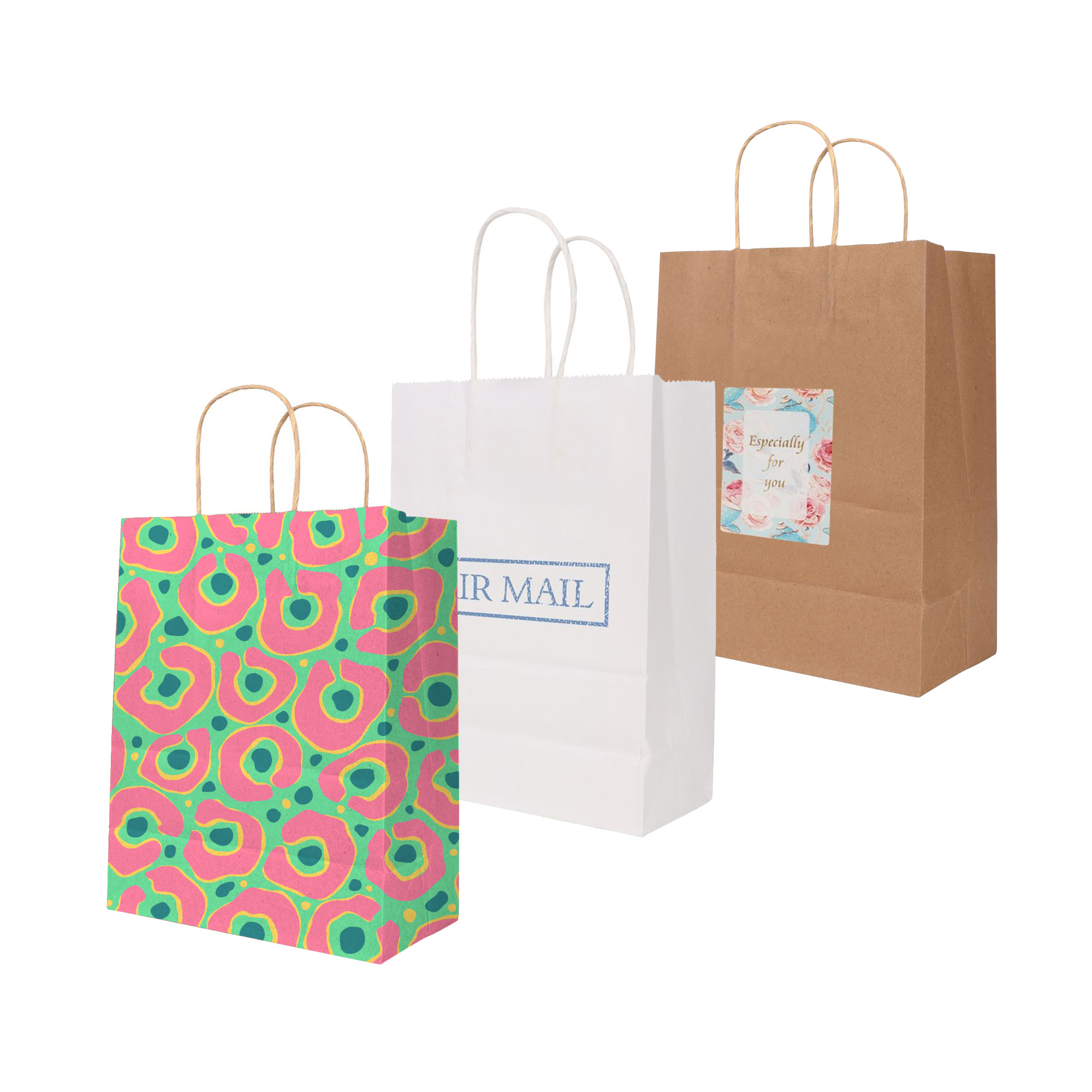 Twisted Handle Kraft Paper Bag(220x270x110mm)