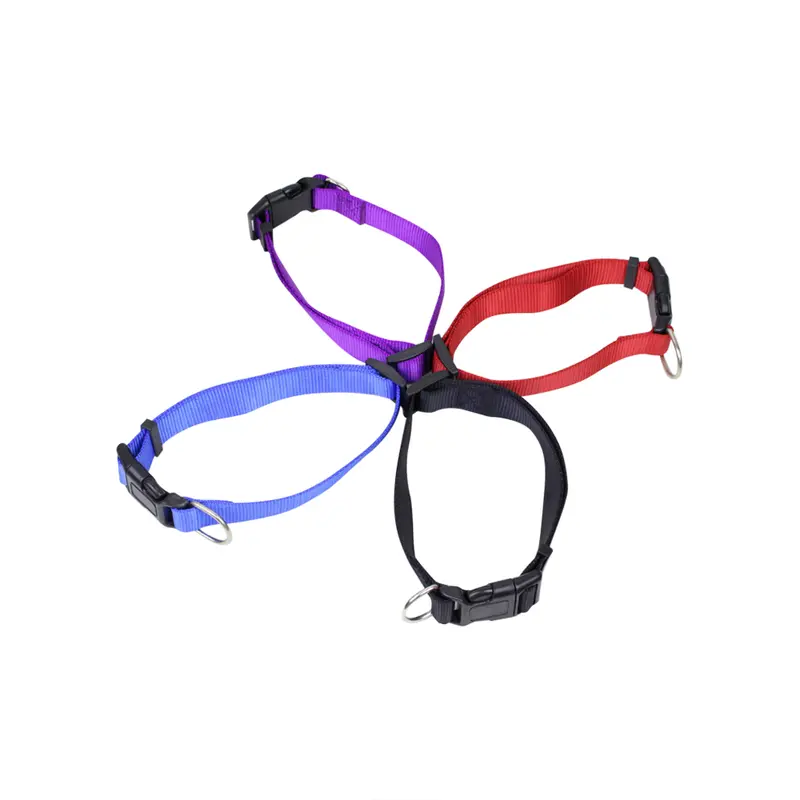 Dog Collar – Pet Accessories – available in black, blue, purple, red colours