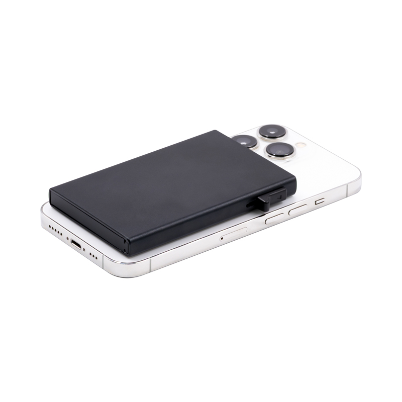 Wally Mag RFID Case