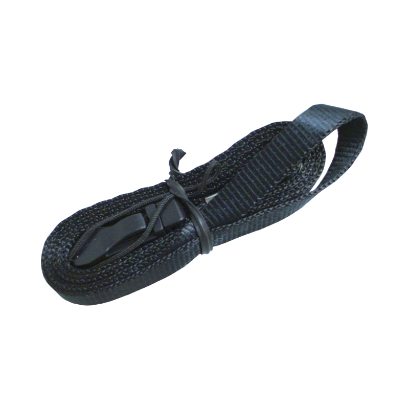 Lanyard