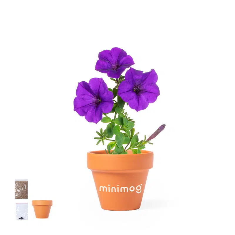 Soltax Gift Set – Misc Outdoors