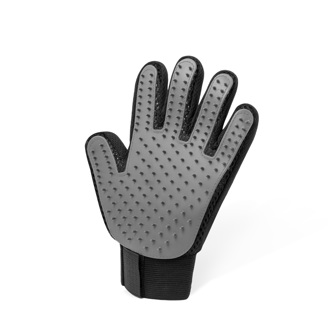 Akitax – Swagg – available in Black – photo 1 of 6