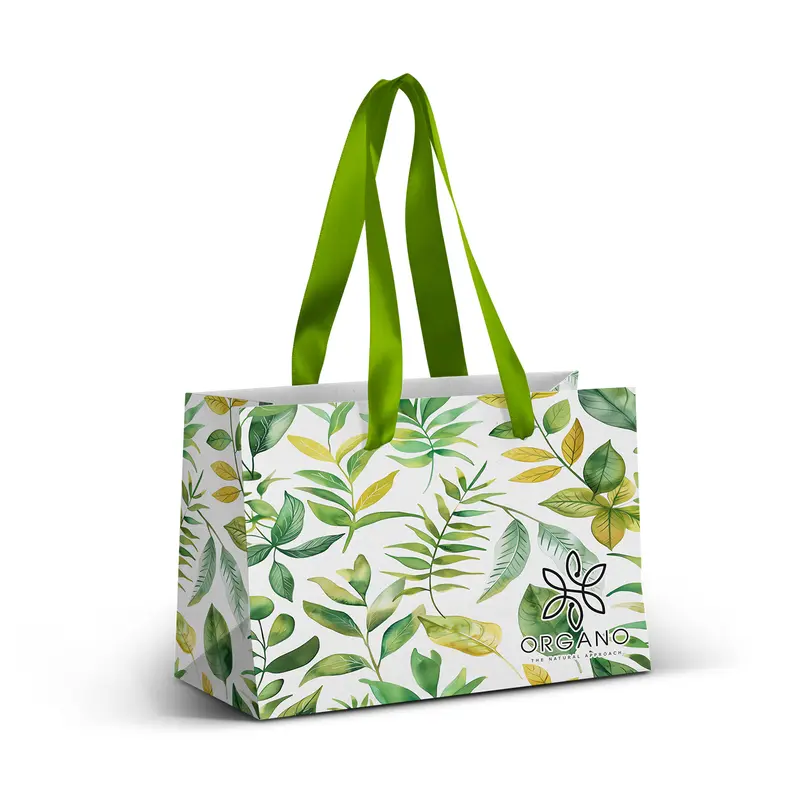 Small Ribbon Handle Paper Bag - Full Colour – Paper Bags – available in white colour