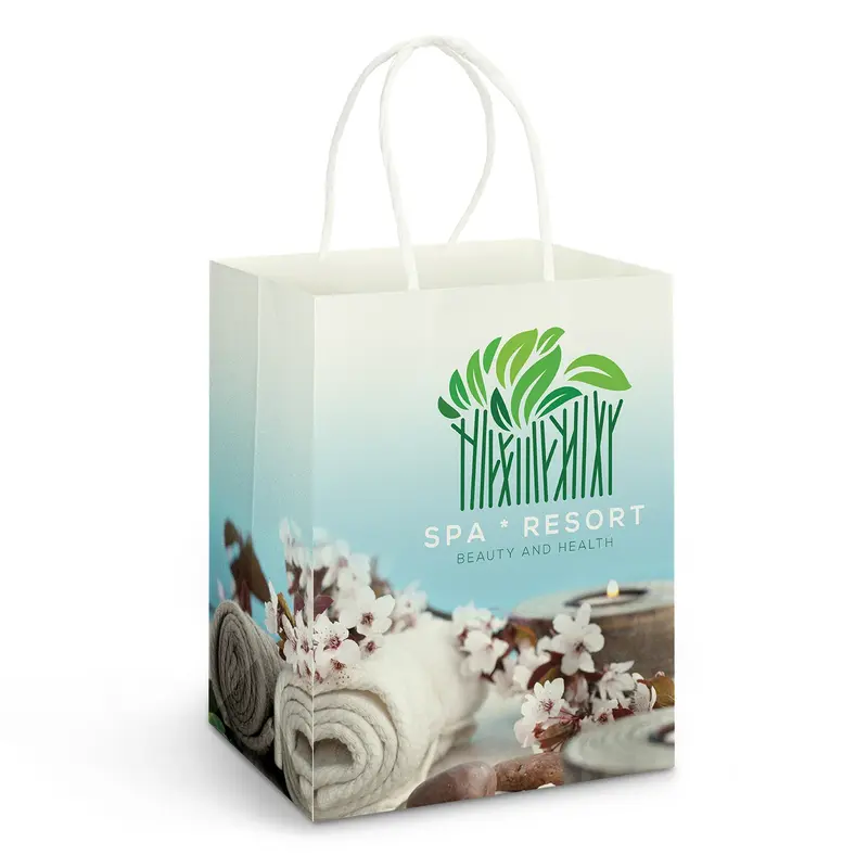 Large Paper Carry Bag - Full Colour – Paper Bags – available in multi colour