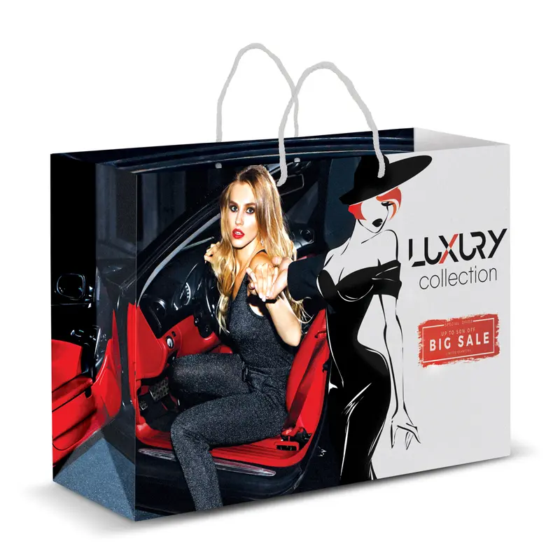 Extra Large Laminated Paper Carry Bag - Full Colour – Paper Bags – available in multi colour